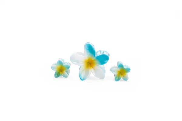 Shaded_Tropical_Family_Set_Ocean_Blue_Large_Medium_Single