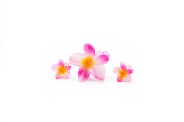 Shaded_Tropical_Family_Set_Pink_Bloom_Large_Medium_Single
