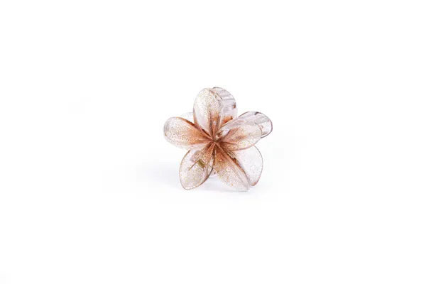 Sparkle_Floral_Large_Brown_Glitter_Large_Medium_Single