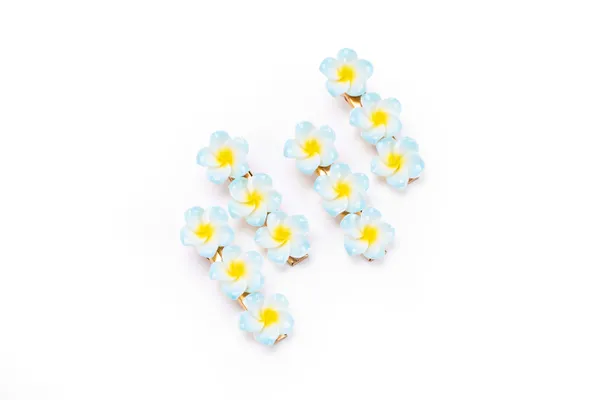 Floral_Snap_Clips_Small_Single_12_Pair