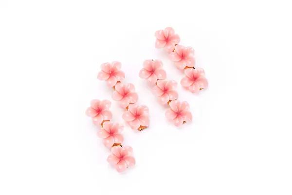 Floral_Snap_Clips_Small_Single_12_Pair
