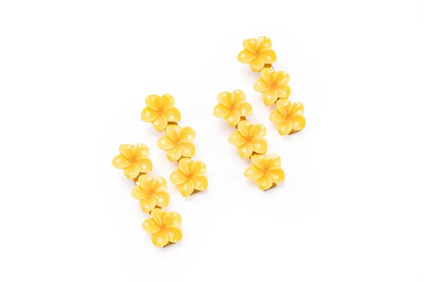 Floral_Snap_Clips_Small_Single_12_Pair