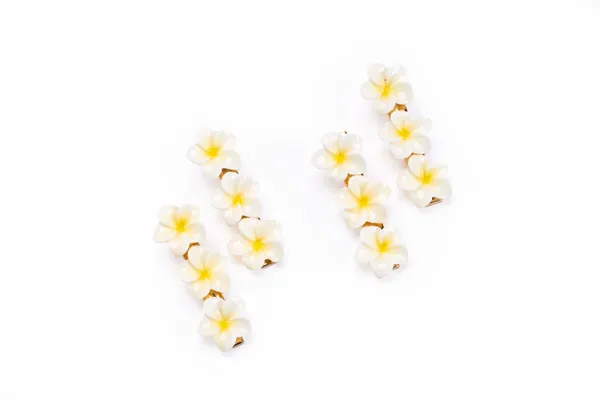 Floral_Snap_Clips_Small_Single_12_Pair