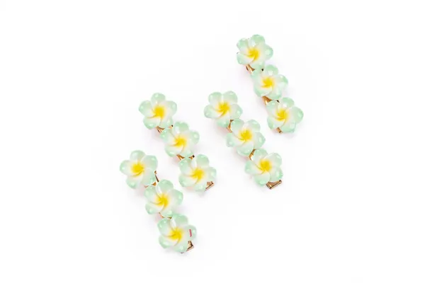 Floral_Snap_Clips_Small_Single_12_Pair