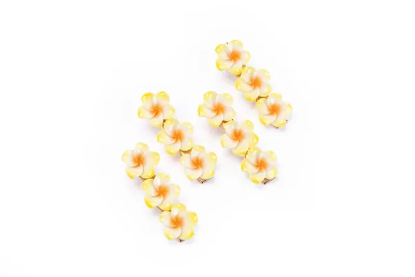 Floral_Snap_Clips_Small_Single_12_Pair