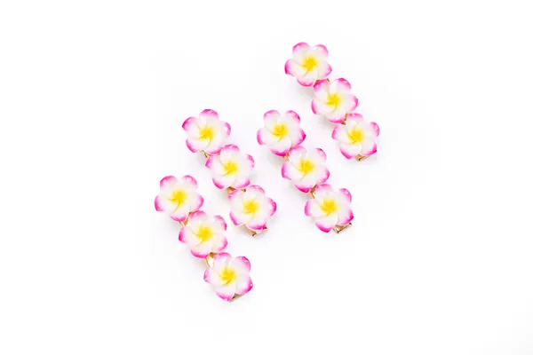 Floral_Snap_Clips_Small_Pack_Of_4_48_Pair