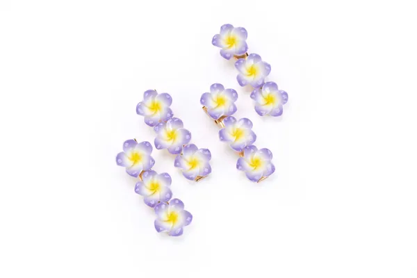 Floral_Snap_Clips_Small_Pack_Of_4_48_Pair