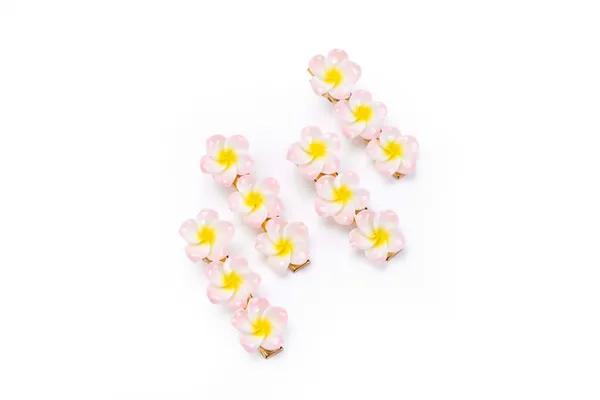 Floral_Snap_Clips_Small_Pack_Of_4_48_Pair