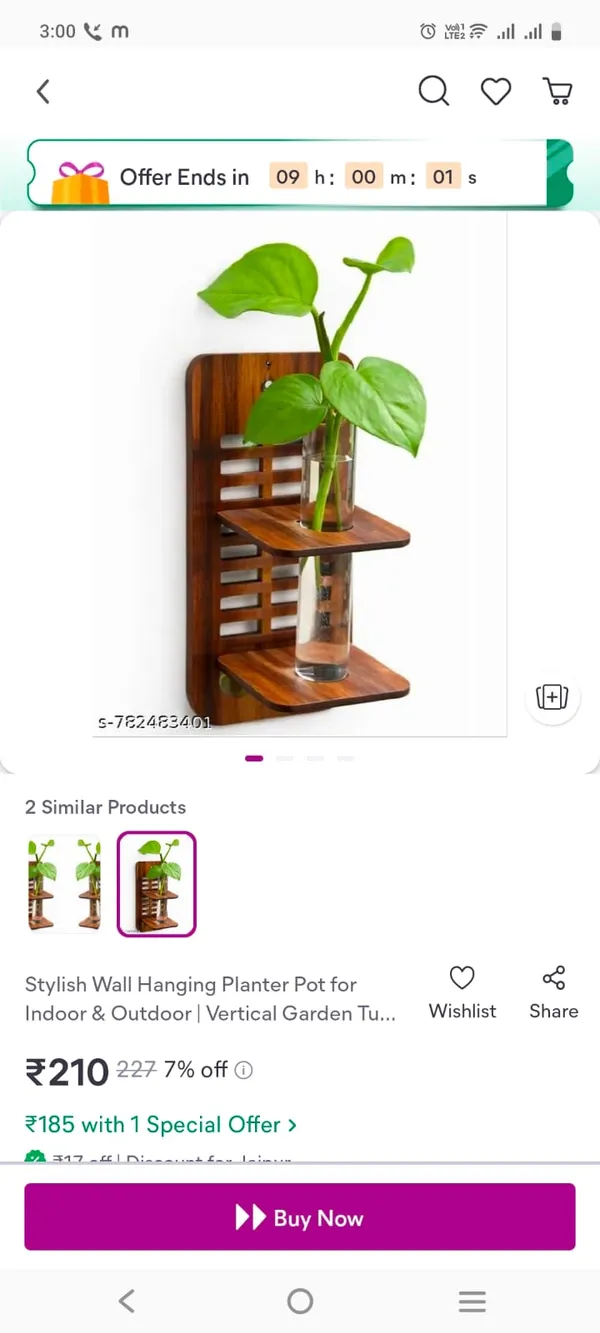 Wood_Brown_Jaali_Slatted_Wall_Hanging_Planter_With_Glass_Vases