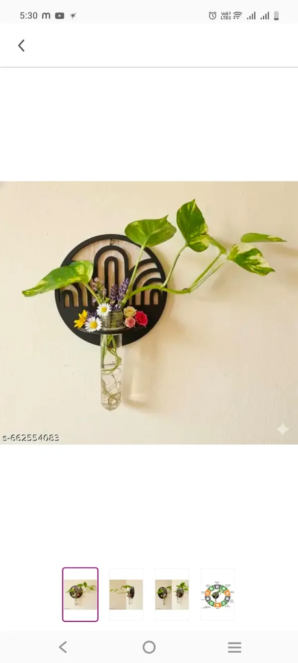Wood_Boho_Rainbow_Arch_Wall_Hanging_Glass_Test_Tube_Planter
