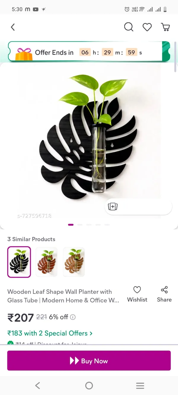 Wood_Black_Monstera_Leaf_Wall_Mounted_Glass_Vase_Planter