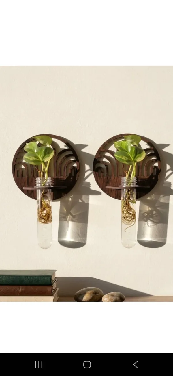 Wooden_Round_Wall_Mounted_Test_Tube_Planter_Vase_Set_Of_2