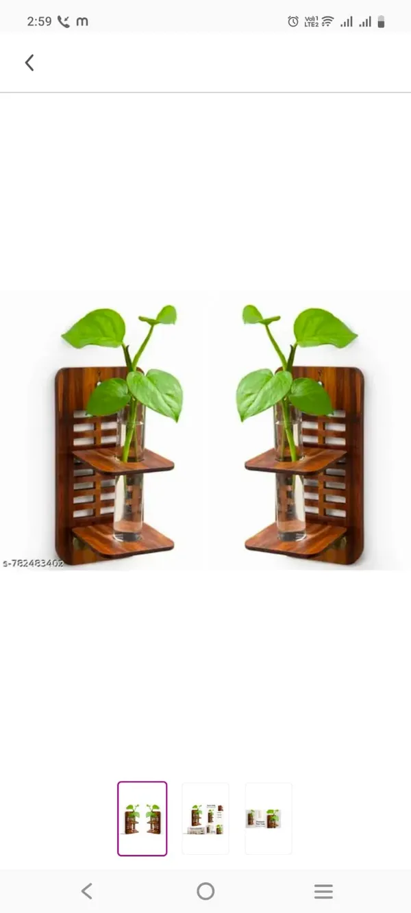 Wood_Natural_Wall_Hanging_Planter_With_Glass_Tube_Vase