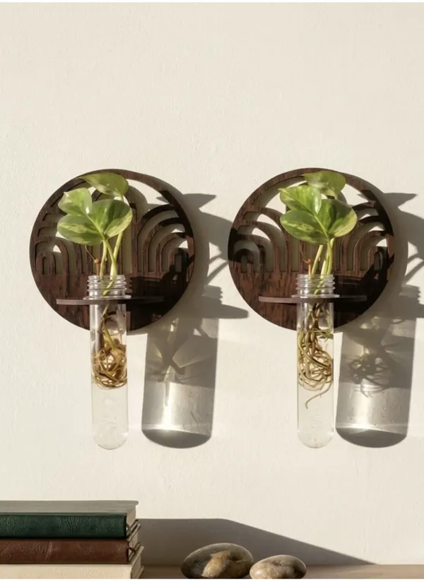 Wooden_Round_Wall_Mounted_Test_Tube_Planter_Vase_Set_Of_2