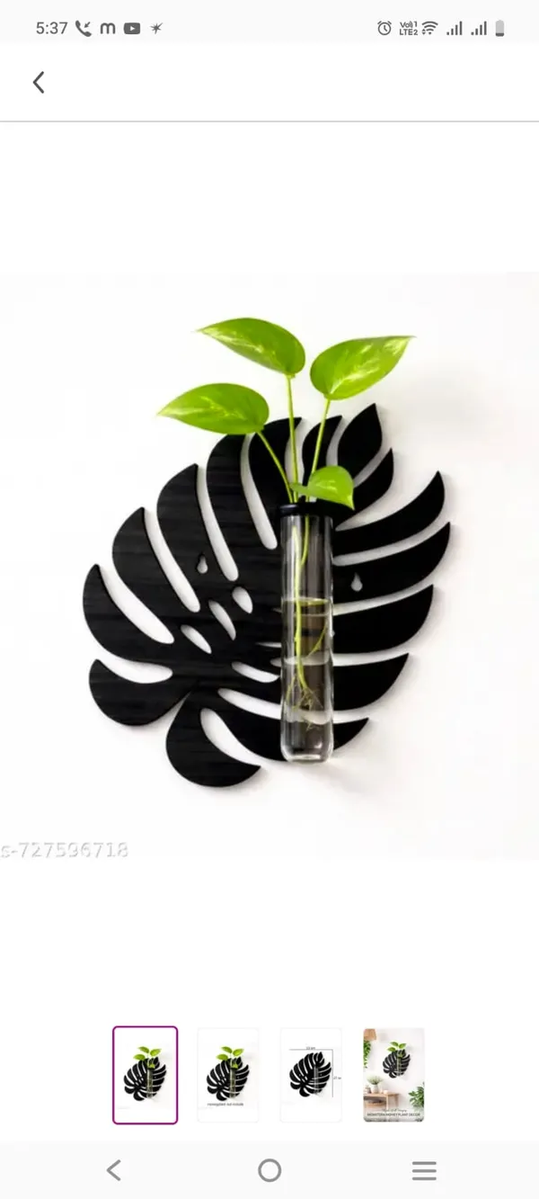 Wood_Black_Monstera_Leaf_Wall_Mounted_Glass_Vase_Planter