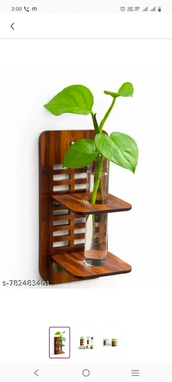 Wood_Brown_Jaali_Slatted_Wall_Hanging_Planter_With_Glass_Vases