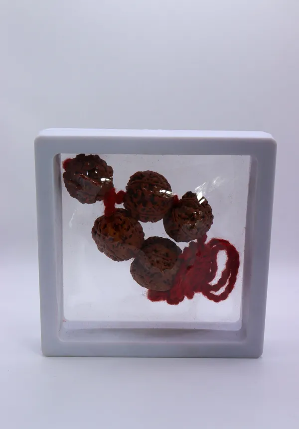 Rudraksha_Beads_Bracelet_With_Red_Thread_In_Display_Frame