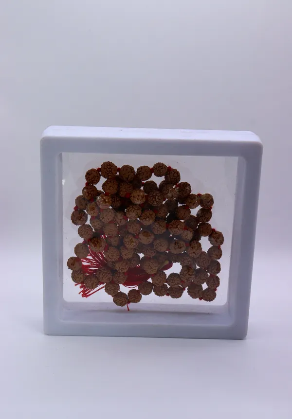 7_Mukhi_Rudraksha_Beads_Mala_