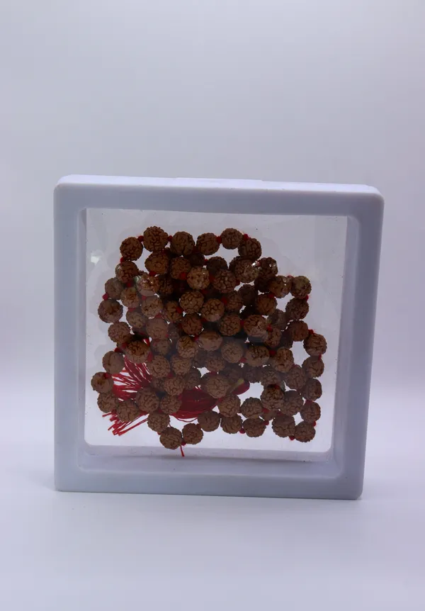 7_Mukhi_Rudraksha_Mala_