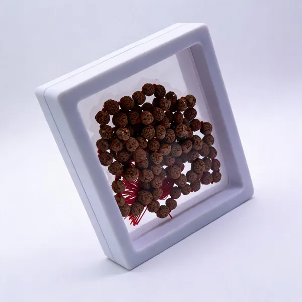 Rudraksha_Beads_Mala_With_Red_Thread_In_Display_Box