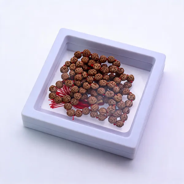 7_Mukhi_Rudraksha_Beads_Mala_