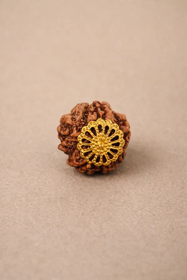 6_Mukhi_Rudraksha_Bead_With_Gold_Toned_Cap_Pendant,_Nepali