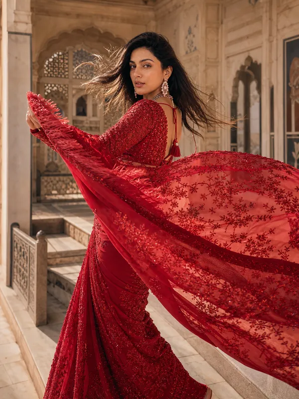 Ruby_Bloom_Embellished_Saree