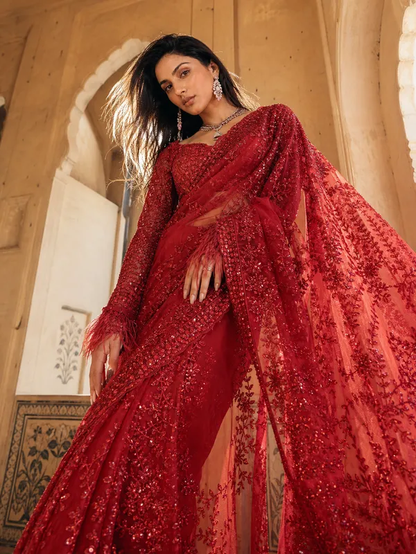 Ruby_Bloom_Embellished_Saree