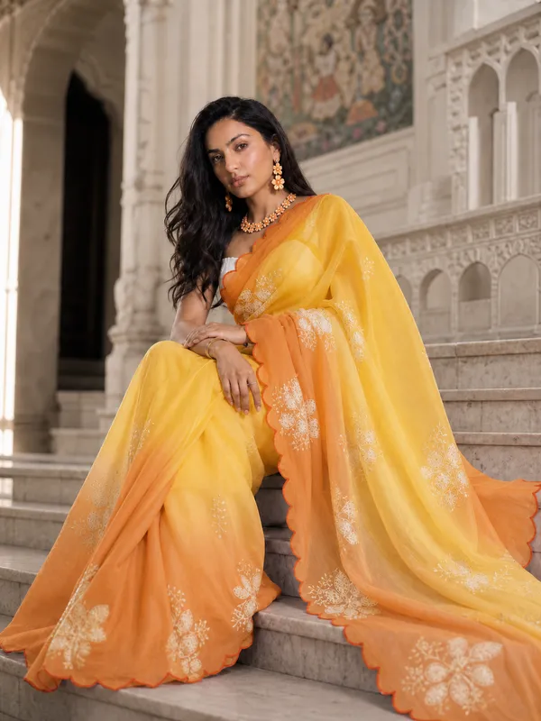 The_Apricot_Muse_Saree