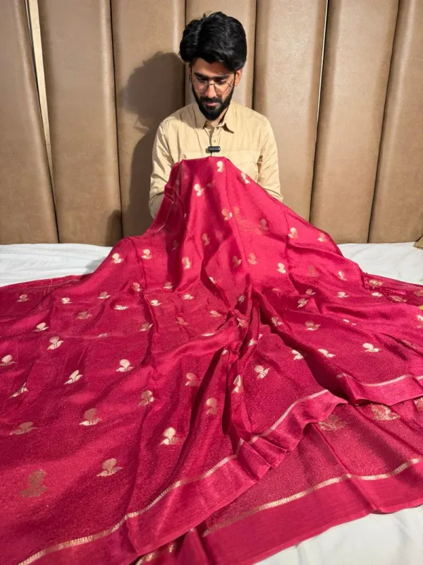 Bright_Rani_viscose_Georgette_Banarasi_Saree