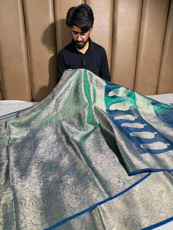 Dhoop_chaon_brocade_tissue_silk_Banarasi_saree