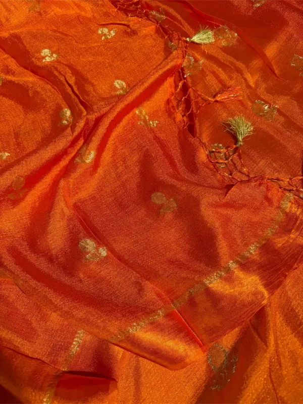Fanta_Orange_Extremely_Soft_Georgette_Silk_Banarasi_Saree