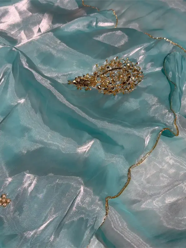Firozi_Blue_Shimmery_Tissue_Silk_Handwork_Saree