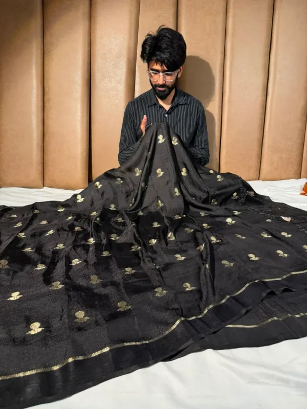 Jet_Black_Shade_Viscose_Georgette_Banarasi_Saree