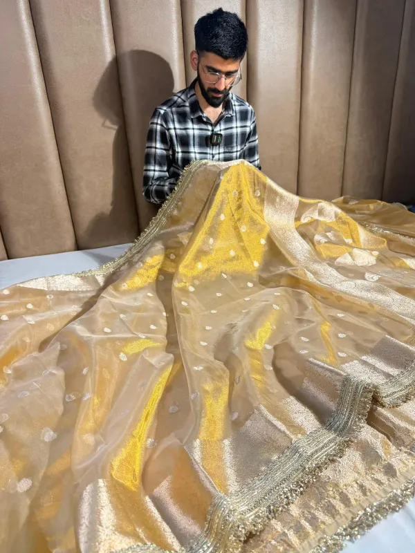 Light_Gold_Tissue_Silk_Designer_Lace_Work_Banarasi_Saree