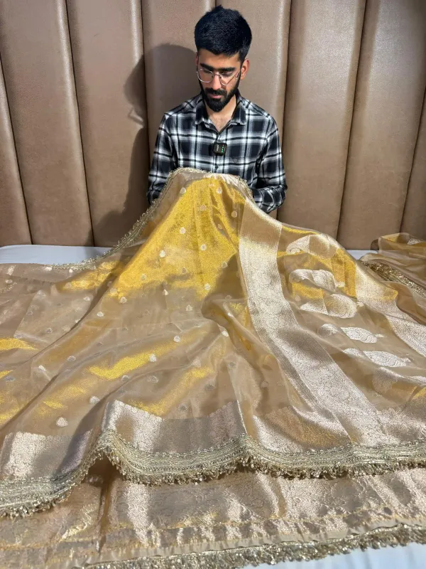 Light_Gold_Tissue_Silk_Designer_Lace_Work_Banarasi_Saree