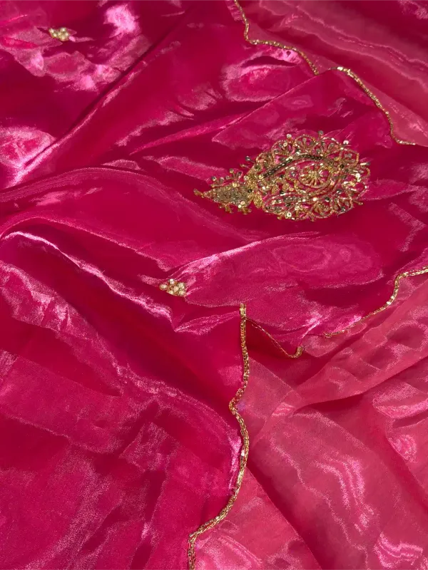 Rani_Pink_Shimmery_Tissue_Silk_Handwork_Saree