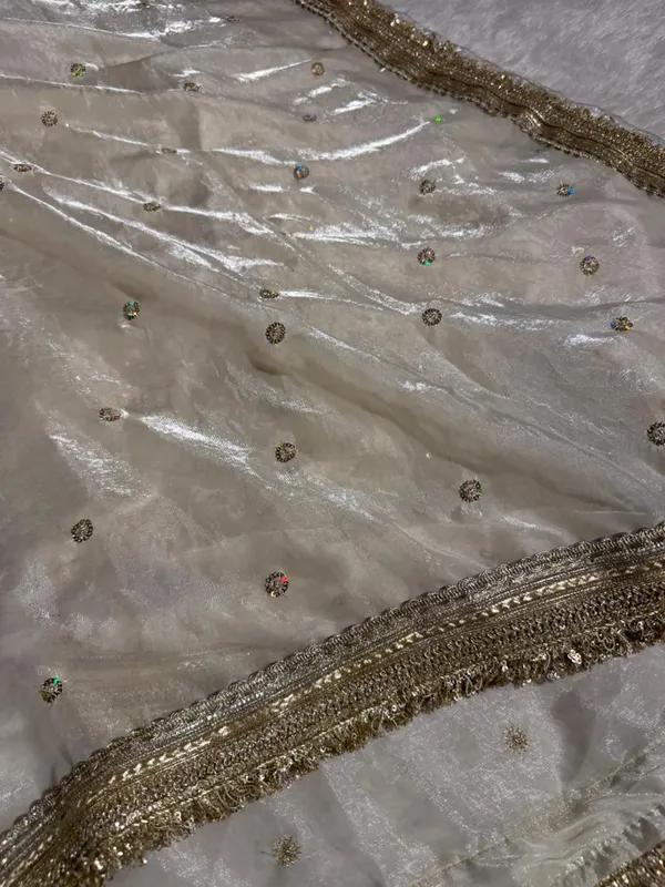 Ivory_shimmery_tissue_silk_designer_saree