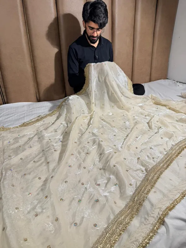 Ivory_shimmery_tissue_silk_designer_saree