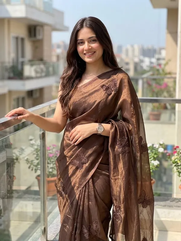Tranding_Fendy_Satin_Two_Tone_Dark_Coffee_with_Beautiful_Handwork_Beads_Butter_Fly_Work