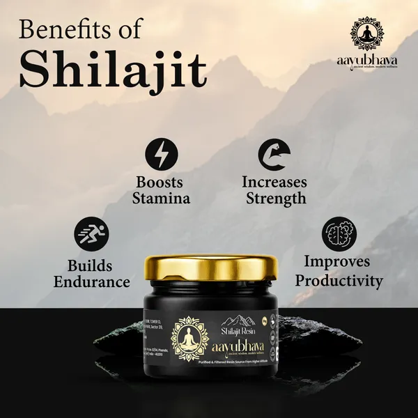 Himalyan_Shilajit_Resin_Hand_Processed_For_Maximum_Potency_For_Unisex