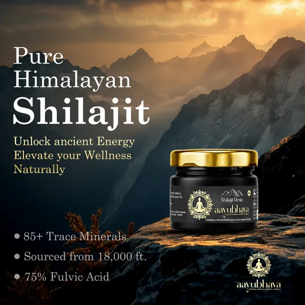 Himalyan_Shilajit_Resin_Hand_Processed_For_Maximum_Potency_For_Unisex