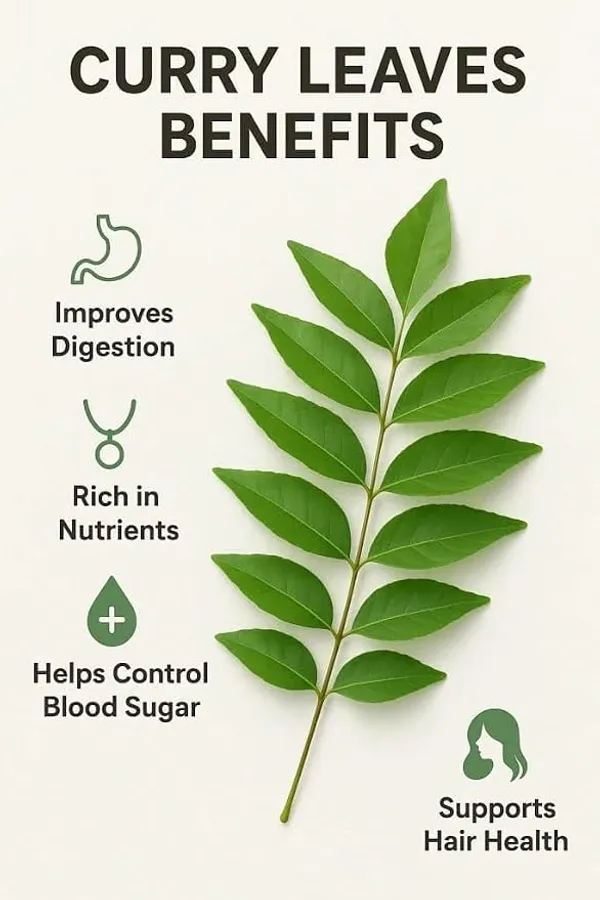 Curry_Patta_Live_Plant_(Curry_Leaf/Meetha_Neem)_–_Fresh_Edible_Herb_Plant_for_Home_Garden,_Balcony_&_Kitchen_Garden