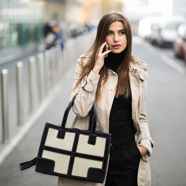 Beige_And_Black_Canvas_Premium_Handbag_For_Women