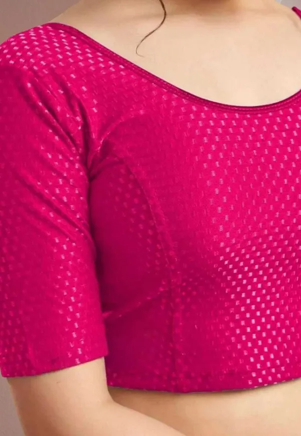 Drishti_Fashion_Round_Neck_Women_Blouse_()