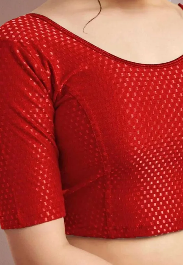 Drishti_Fashion_Round_Neck_Women_Blouse_()