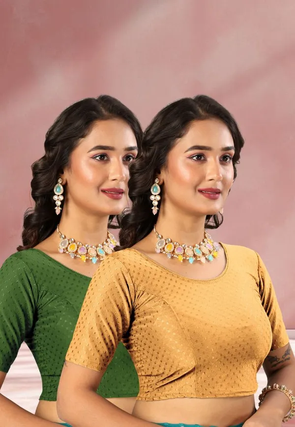 Drishti_Fashion_Round_Neck_Women_Blouse_()