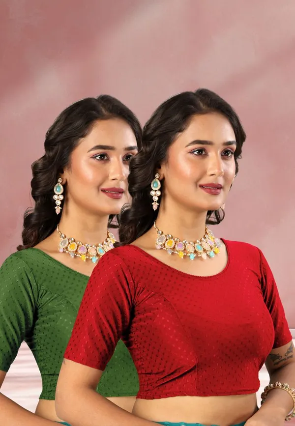 Drishti_Fashion_Round_Neck_Women_Blouse_()