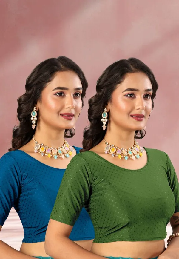 Drishti_Fashion_Round_Neck_Women_Blouse_()
