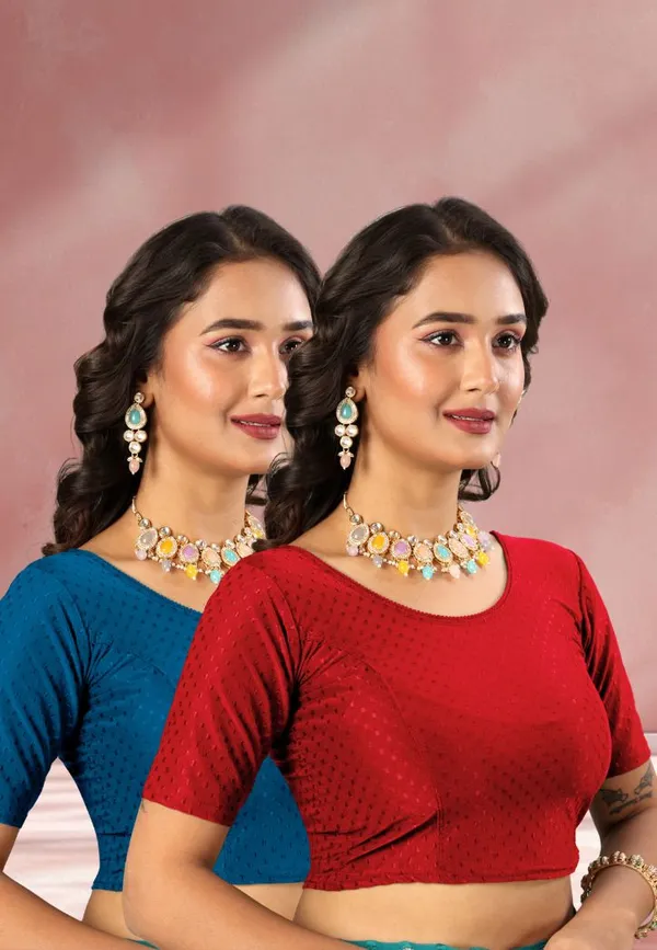Drishti_Fashion_Round_Neck_Women_Blouse_()
